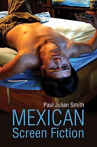 Mexican Screen Fiction: Between Cinema and Television