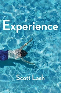 Experience: New Foundations for the Human Sciences