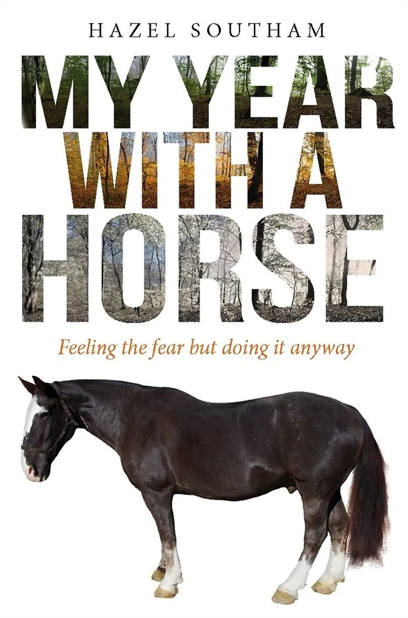 My Year With a Horse: Feeling the fear but doing it anyway