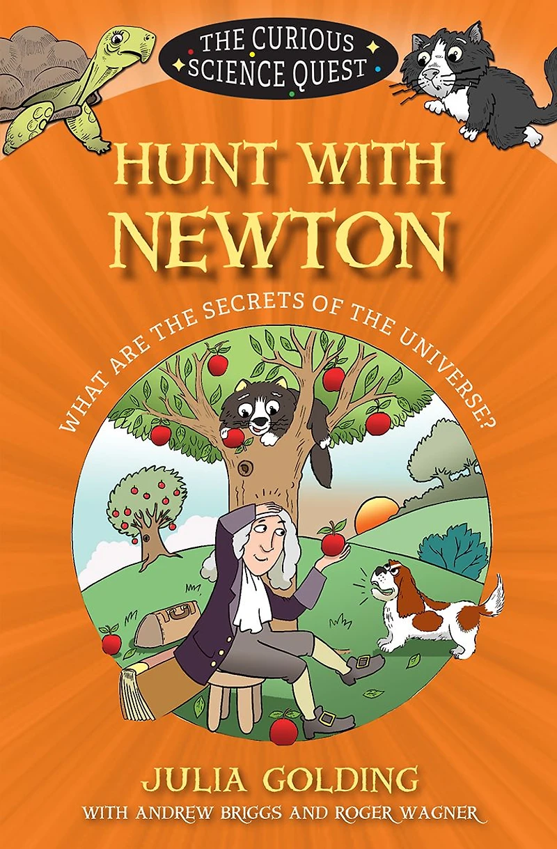 Hunt with Newton: What are the Secrets of Universe?