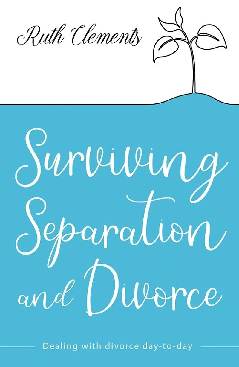 Surviving Separation and Divorce: Dealing with divorce day-to-day