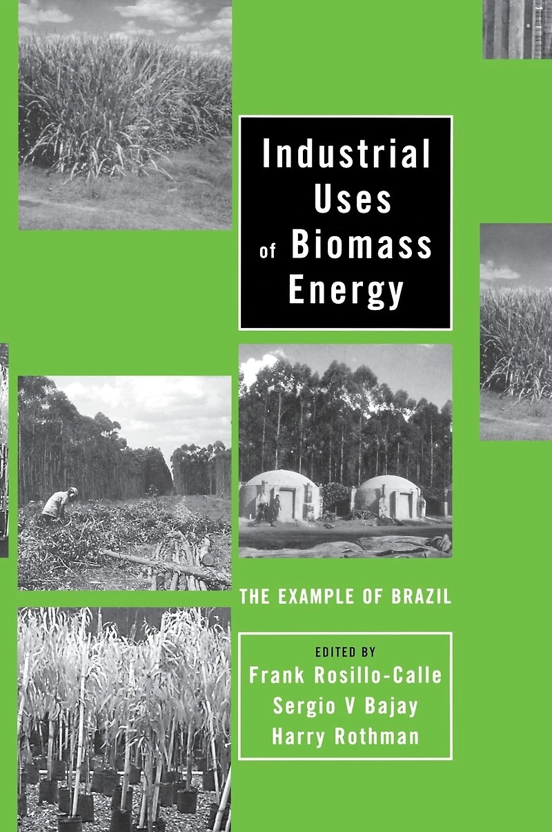 Industrial Uses of Biomass Energy: The Example Brazil