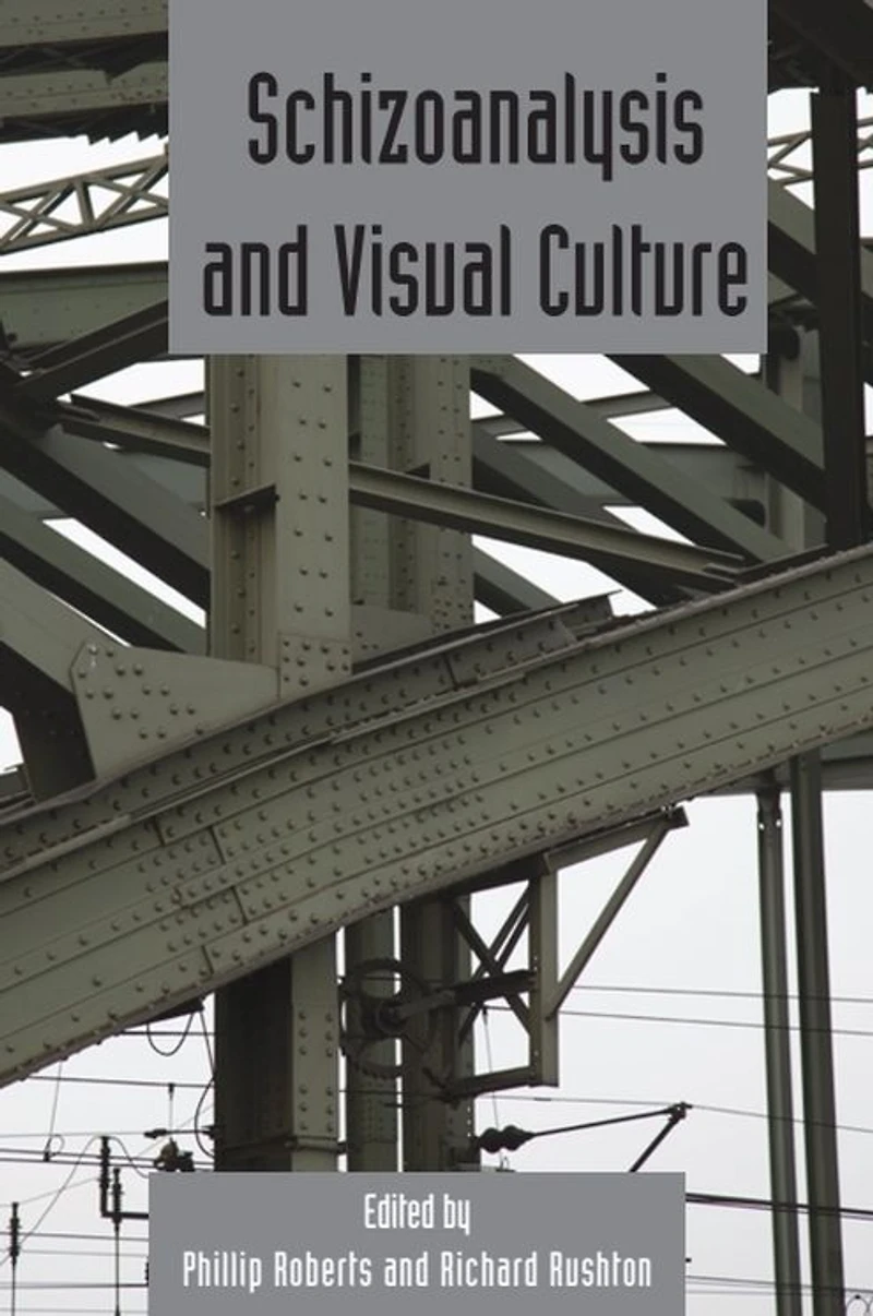 Schizoanalysis and Visual Cultures: Deleuze Studies Volume 5.2