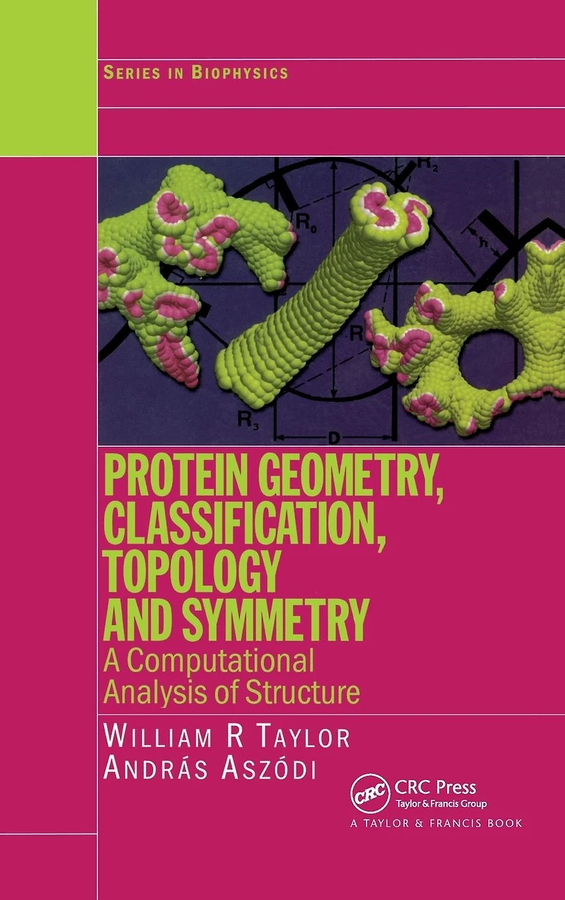 Protein Geometry, Classification, Topology and Symmetry: A Computational Analysis of Structure