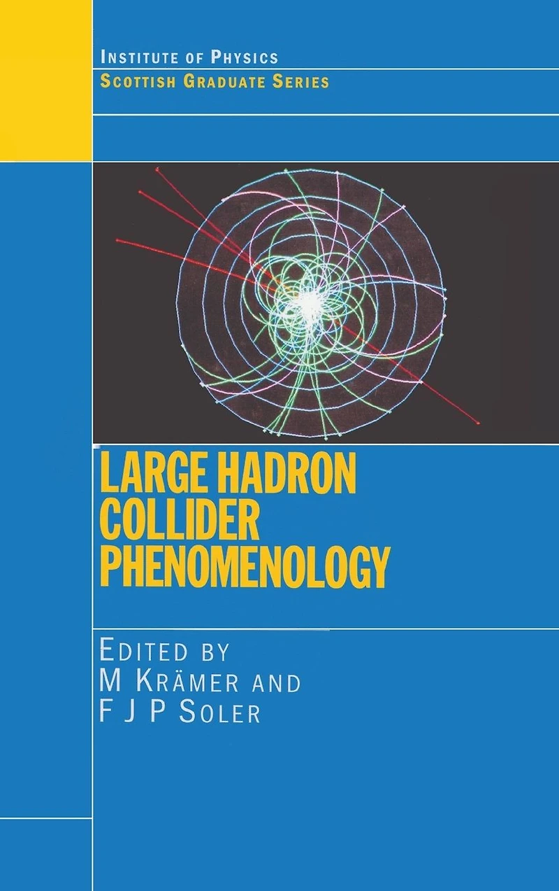 Large Hadron Collider Phenomenology