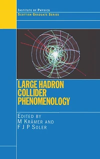 Large Hadron Collider Phenomenology