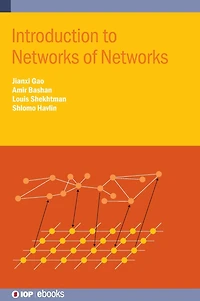 Introduction to Network of Networks