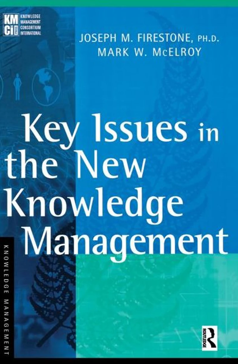 Key Issues the New Knowledge Management