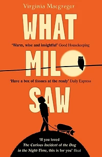 What Milo Saw