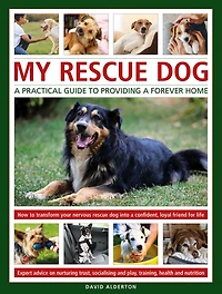My Rescue Dog