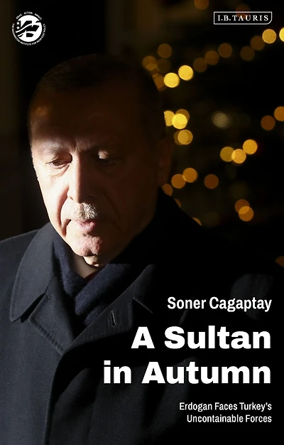 A Sultan Autumn: Erdogan Faces Turkey's Uncontainable Forces
