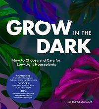 Grow the Dark: How to Choose and Care for Low-Light Houseplants