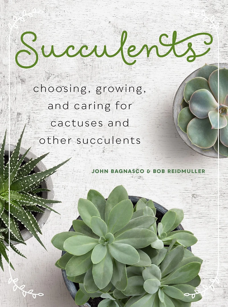 Succulents: Choosing, Growing, and Caring for Cactuses other Succulents