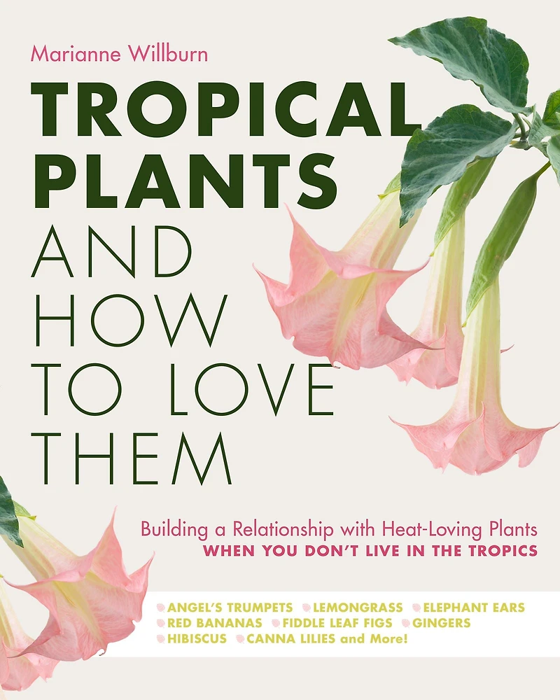 Tropical Plants and How to Love Them: Building a Relationship with Heat-Loving When You Don't Live The Tropics - Angel's Trumpets Lemongrass Elephant Ears Red Bananas Fiddle Leaf Figs Gingers Hibiscus Canna Lilies More!