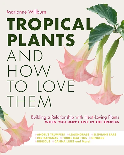 Tropical Plants and How to Love Them: Building a Relationship with Heat-Loving When You Don't Live The Tropics - Angel's Trumpets Lemongrass Elephant Ears Red Bananas Fiddle Leaf Figs Gingers Hibiscus Canna Lilies More!