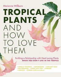 Tropical Plants and How to Love Them: Building a Relationship with Heat-Loving When You Don't Live The Tropics - Angel's Trumpets Lemongrass Elephant Ears Red Bananas Fiddle Leaf Figs Gingers Hibiscus Canna Lilies More!