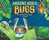 Amazing World Bugs