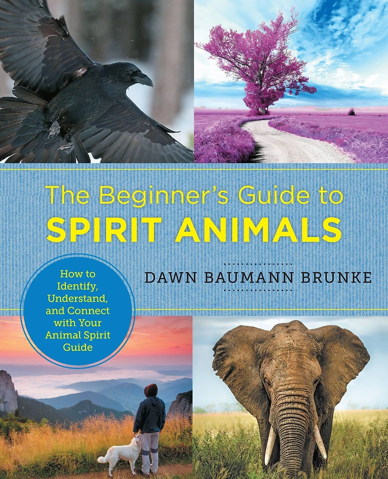 The Beginner's Guide to Spirit Animals: How Identify, Understand, and Connect with Your Animal