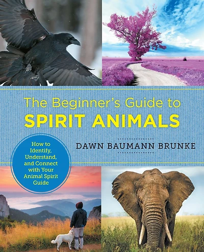 The Beginner's Guide to Spirit Animals: How Identify, Understand, and Connect with Your Animal