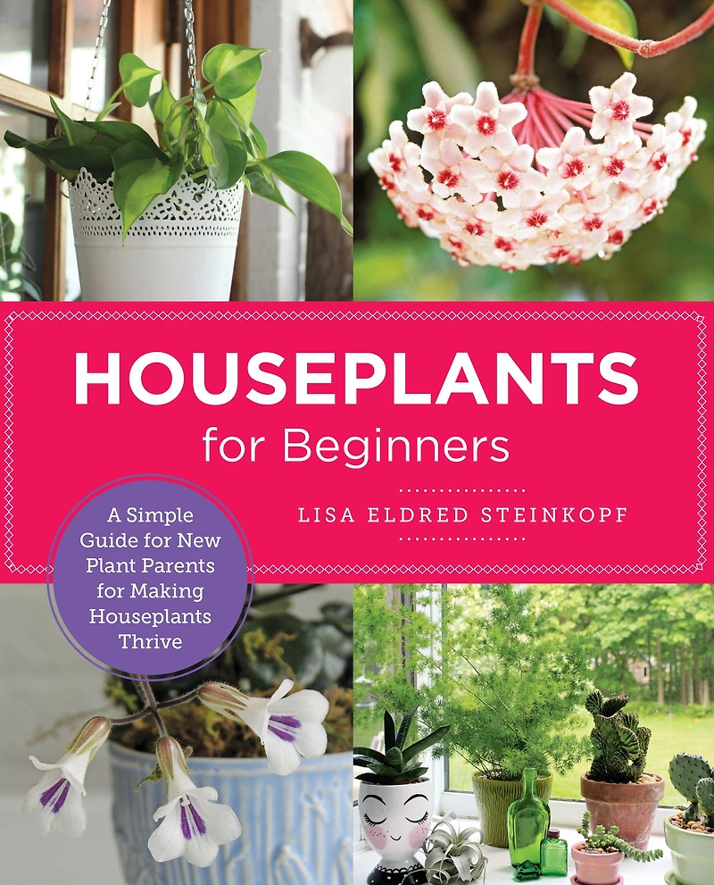 Houseplants for Beginners: A Simple Guide New Plant Parents Making Thrive