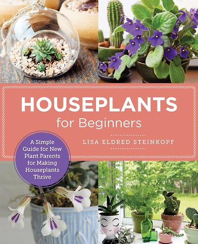 Houseplants for Beginners: A Simple Guide New Plant Parents Making Thrive