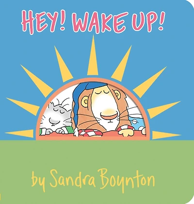 Hey! Wake Up!