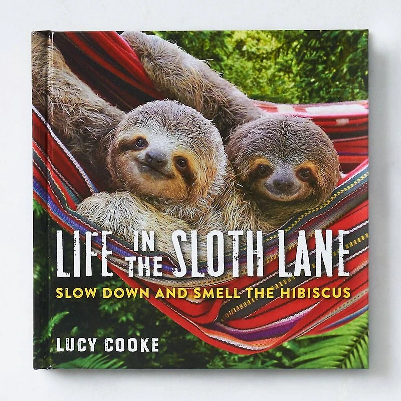 Life the Sloth Lane: Slow Down and Smell Hibiscus