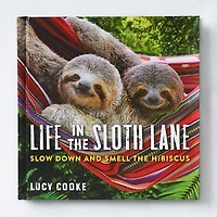 Life the Sloth Lane: Slow Down and Smell Hibiscus