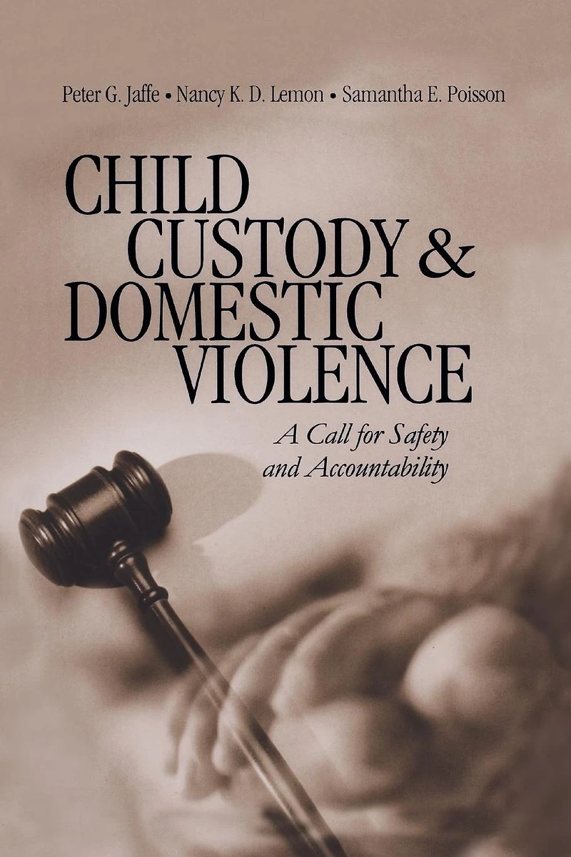 Child Custody and Domestic Violence: A Call for Safety Accountability
