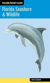 Florida Seashore & Wildlife