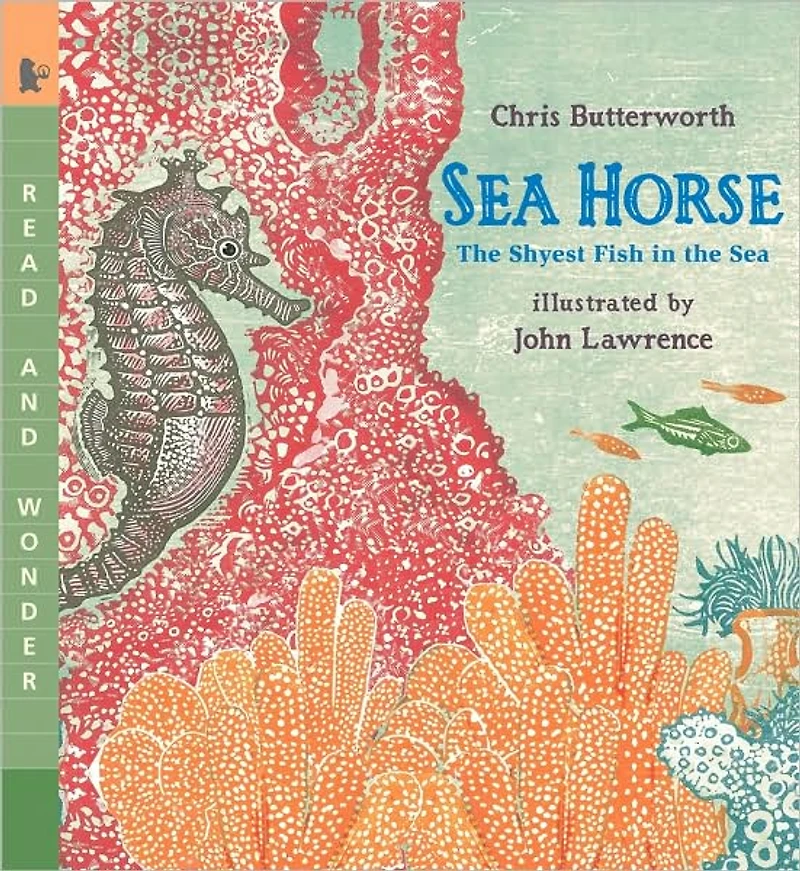 Sea Horse: the Shyest Fish (Read and Wonder Series)