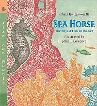 Sea Horse: the Shyest Fish (Read and Wonder Series)