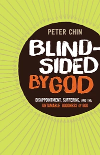 Blindsided by God: Disappointment, Suffering, and the Untamable Goodness of God