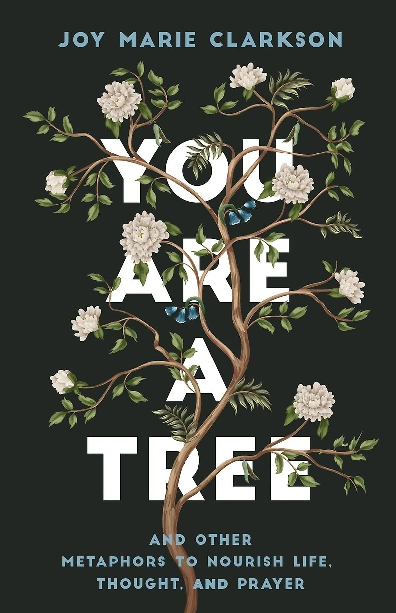 You Are a Tree: and Other Metaphors to Nourish Life, Thought, Prayer