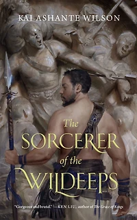 the Sorcerer of Wildeeps