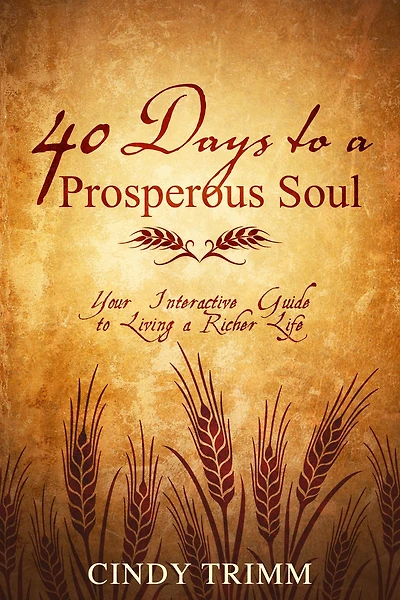 40 Days to a Prosperous Soul: Your Interactive Guide Living Richer Life
