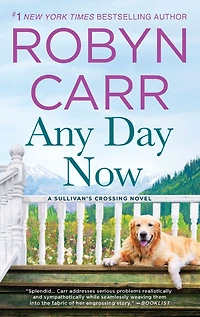 Any Day Now (Sullivan's Crossing Series #2)