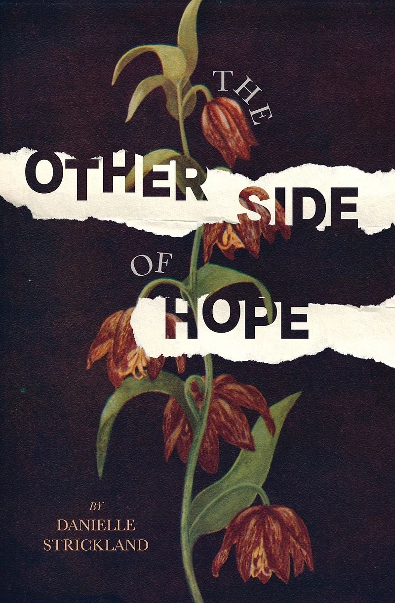 the Other Side of Hope: Flipping Script on Cynicism and Despair Rediscovering our Humanity