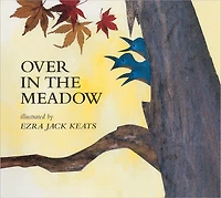 Over the Meadow