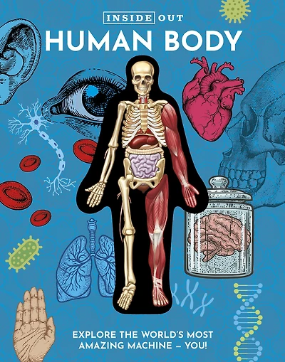 Inside Out Human Body