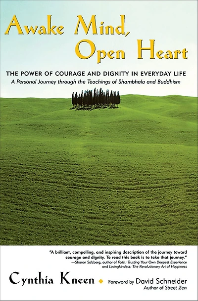 Awake Mind, Open Heart: The Power of Courage and Dignity Everyday Life