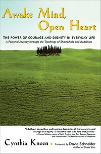 Awake Mind, Open Heart: The Power of Courage and Dignity Everyday Life