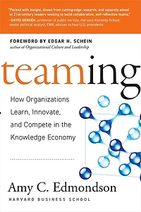 Teaming: How Organizations Learn, Innovate, and Compete the Knowledge Economy
