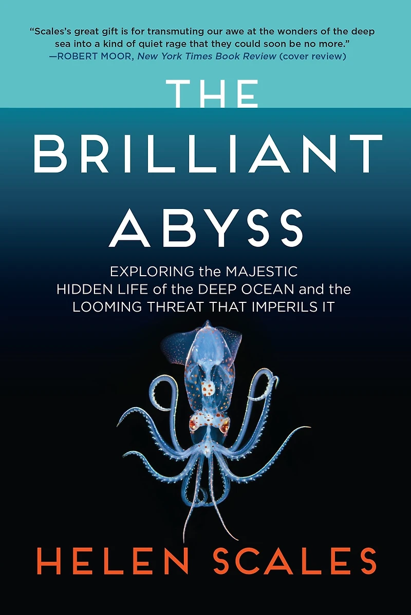 the Brilliant Abyss: Exploring Majestic Hidden Life of Deep Ocean, and Looming Threat That Imperils It