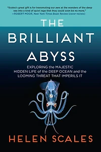 the Brilliant Abyss: Exploring Majestic Hidden Life of Deep Ocean, and Looming Threat That Imperils It