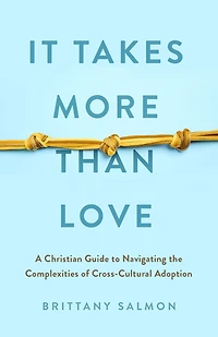 It Takes More Than Love: A Christian Guide to Navigating the Complexities of Cross-Cultural Adoption