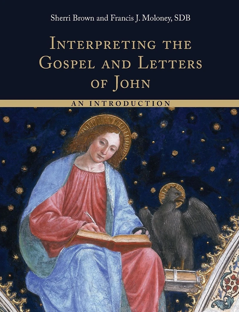 Interpreting the Gospel and Letters of John: An Introduction