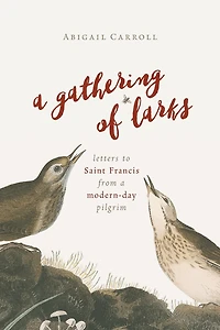 a Gathering of Larks: Letters to Saint Francis from Modern-Day Pilgrim
