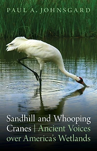 Sandhill and Whooping Cranes: Ancient Voices over America's Wetlands