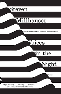 Voices the Night: Stories